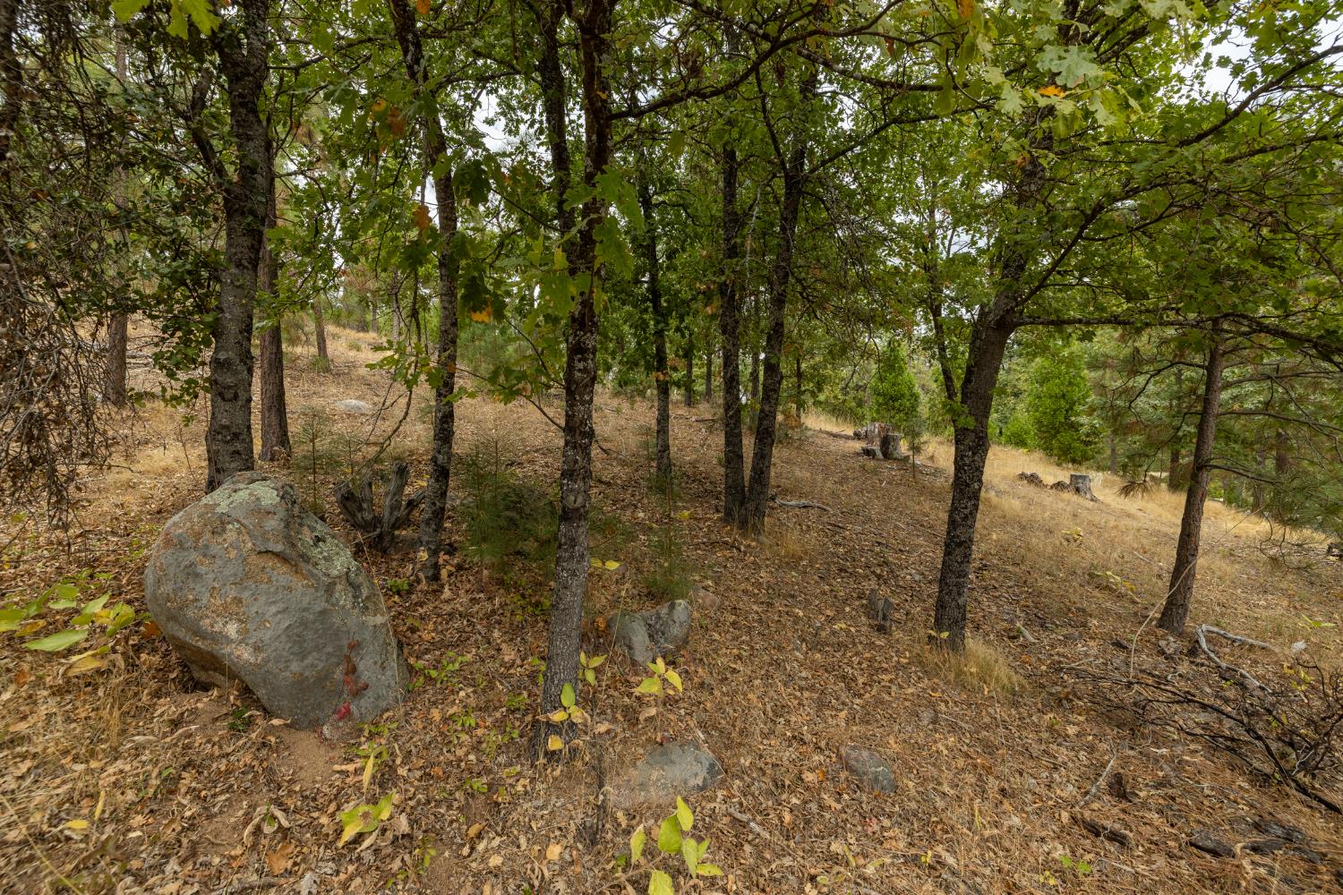 26 Timberview Rd, North Fork, CA 93643