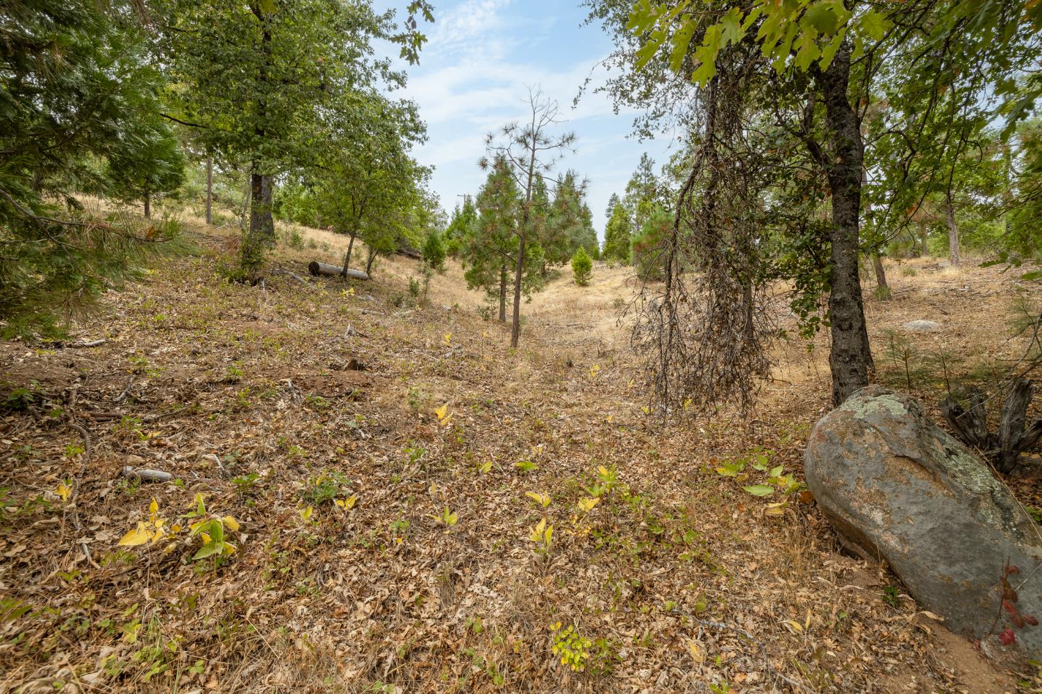 26 Timberview Rd, North Fork, CA 93643