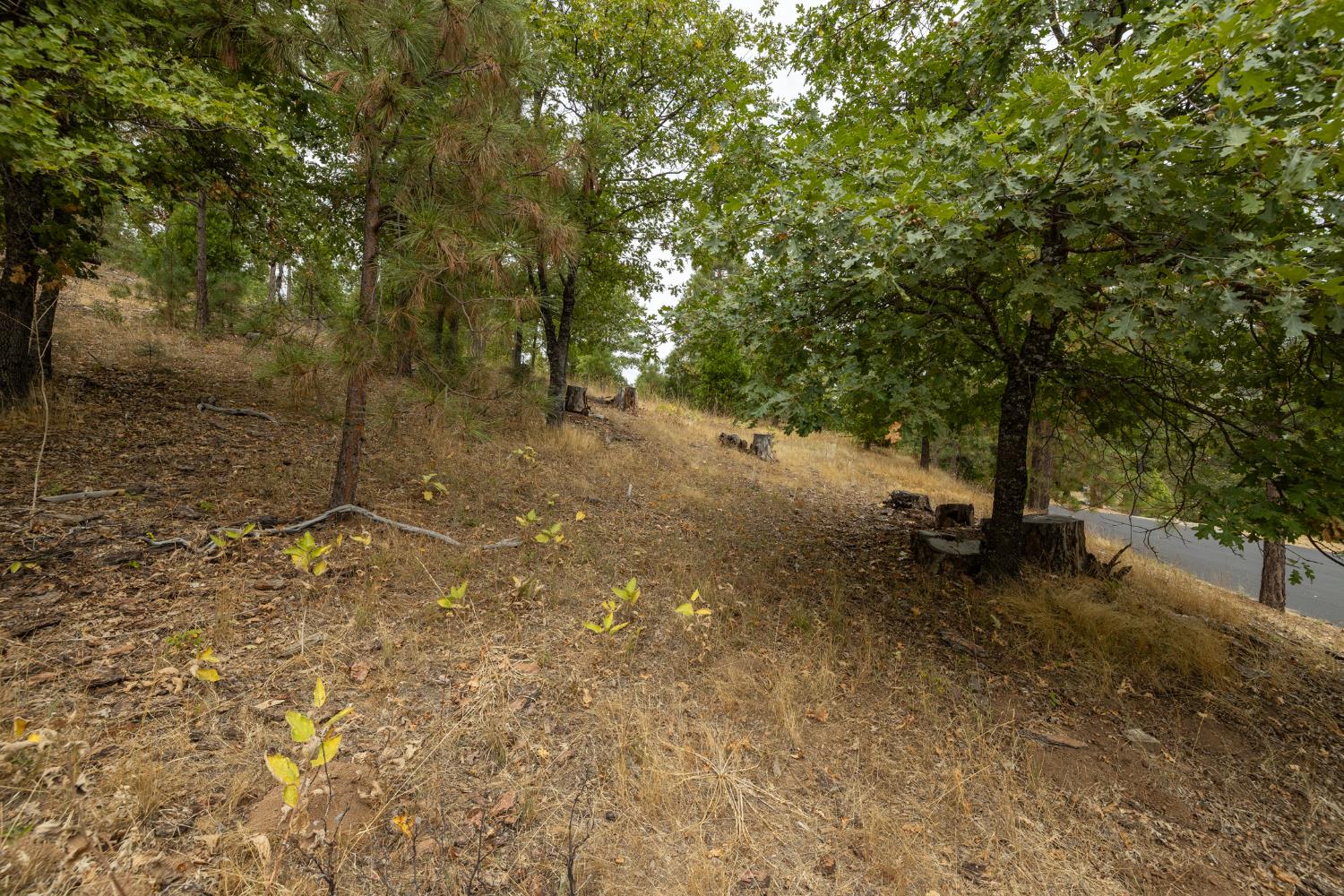 26 Timberview Rd, North Fork, CA 93643