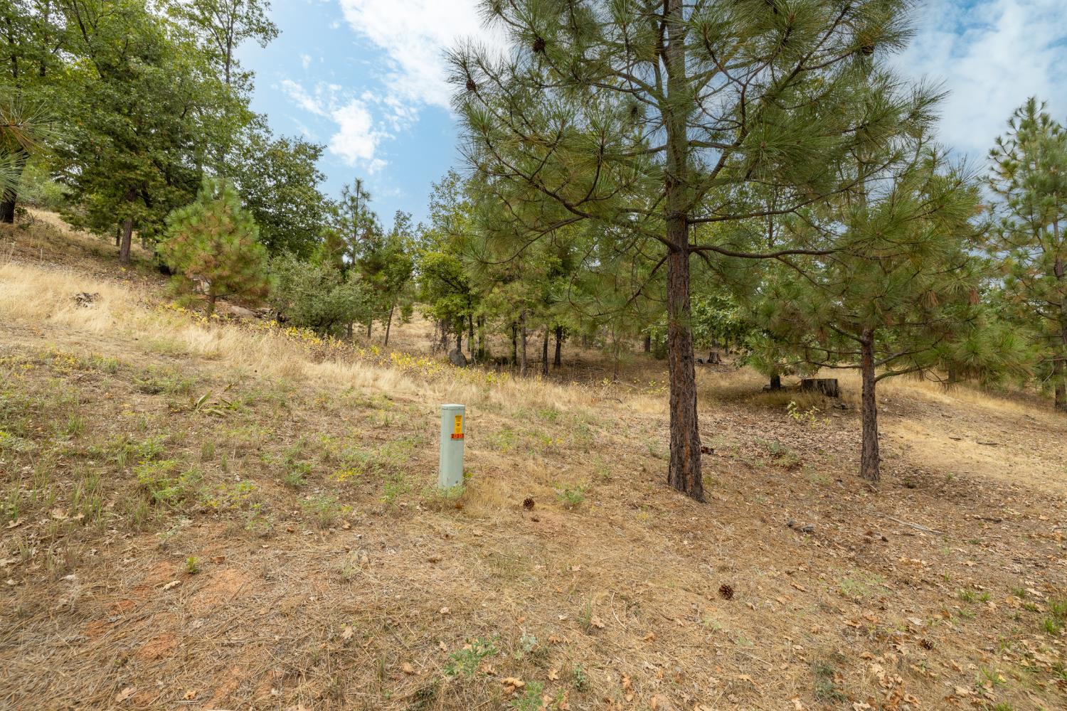 26 Timberview Rd, North Fork, CA 93643