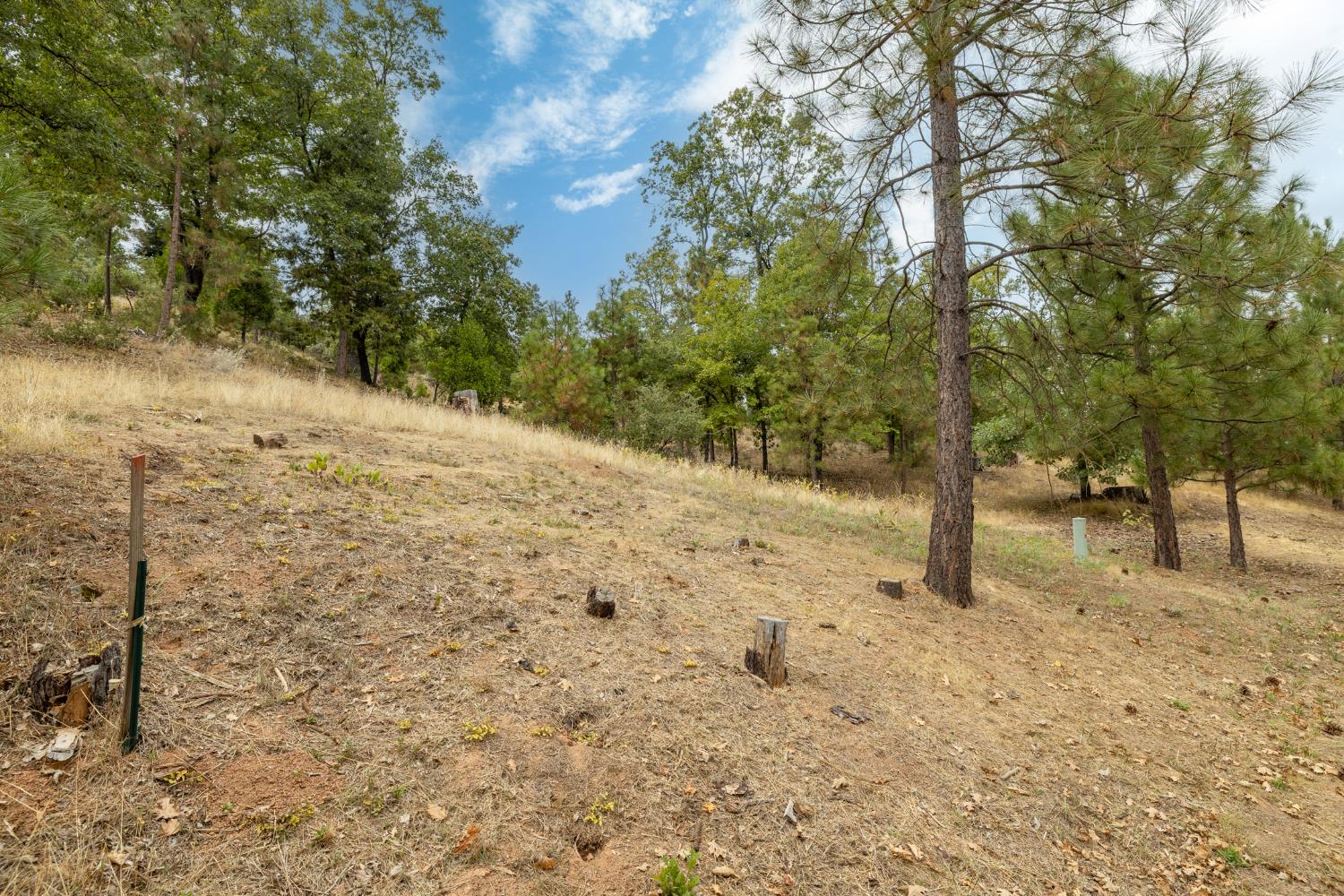 26 Timberview Rd, North Fork, CA 93643