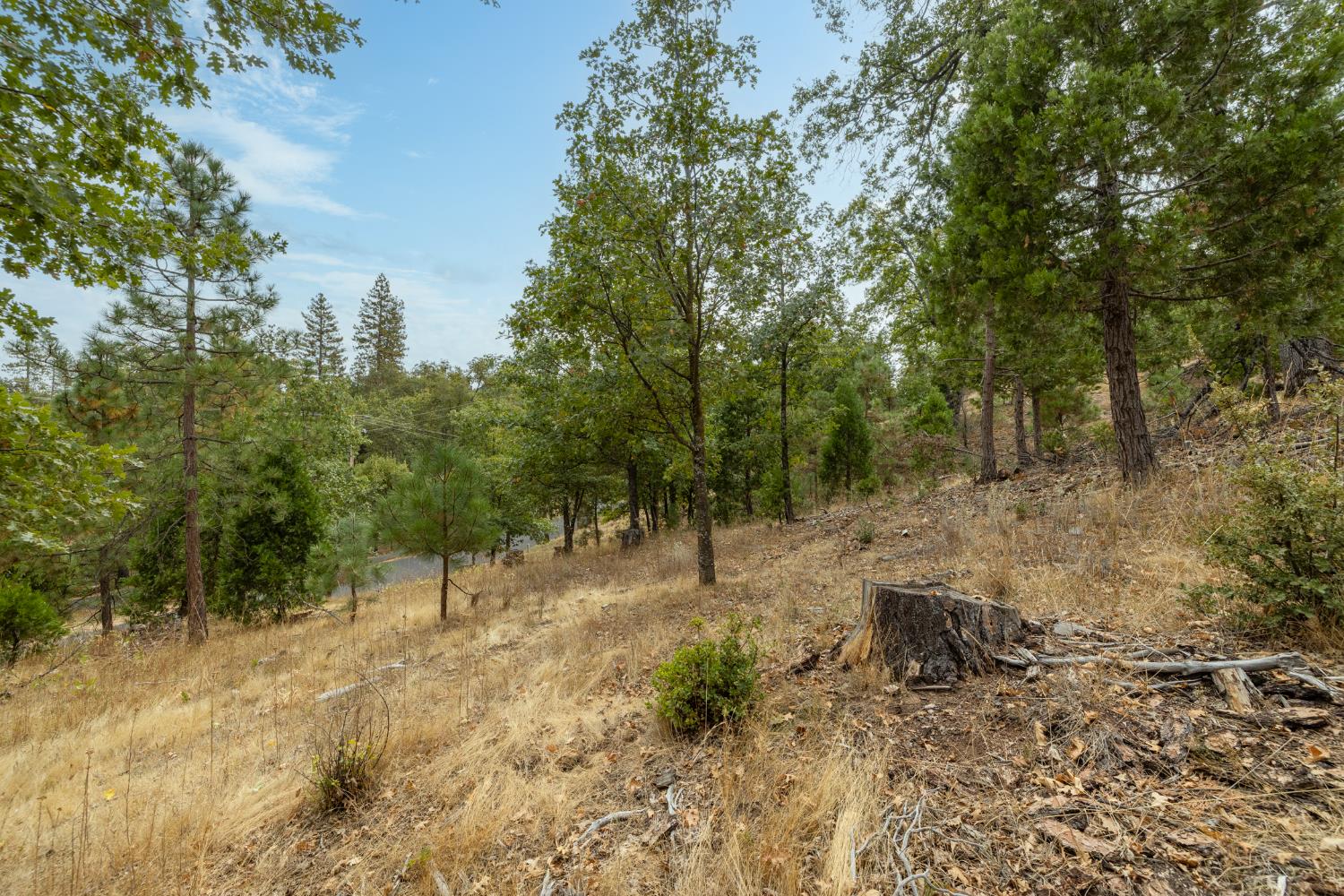 26 Timberview Rd, North Fork, CA 93643