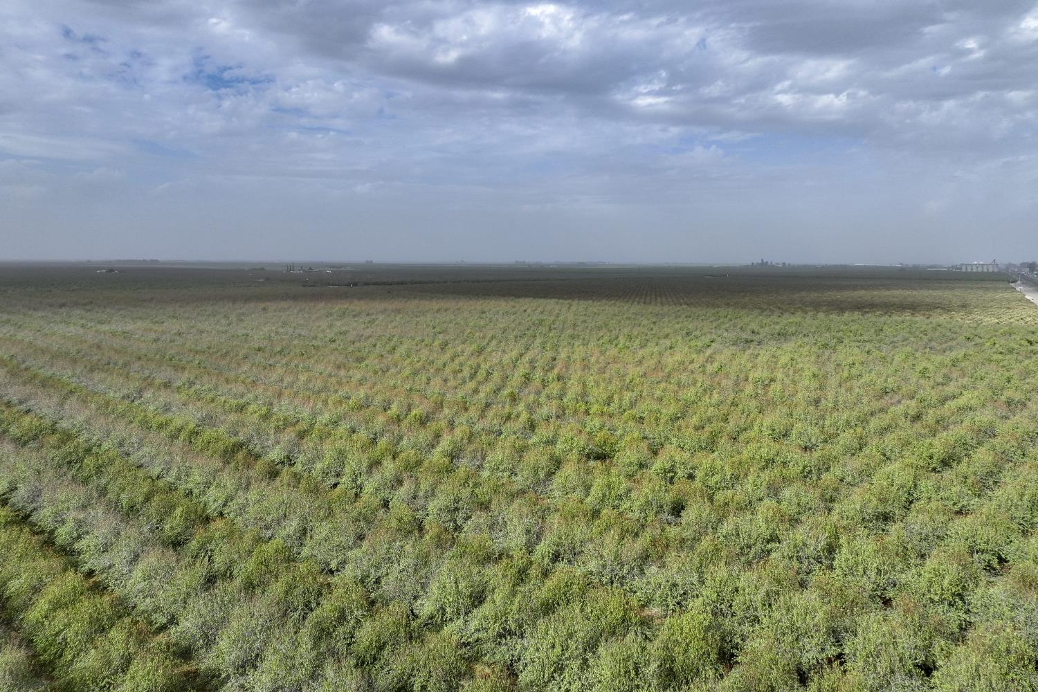 0 0 Avenue 80, Pixley, CA 93256