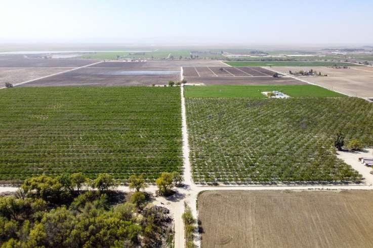 0 0 Lacey Blvd, Lemoore, CA 93245