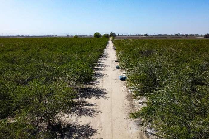 0 0 Lacey Blvd, Lemoore, CA 93245