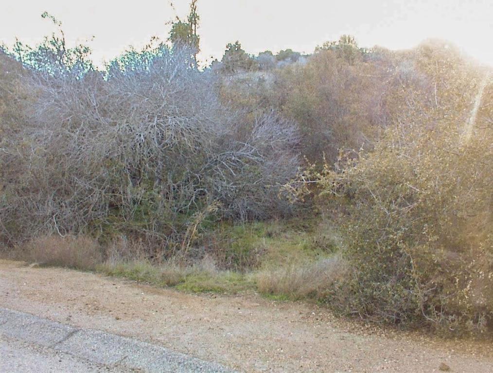 758 High Oaks Ln, Yokuts Valley, CA 93675