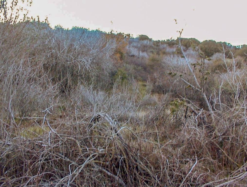 758 High Oaks Ln, Yokuts Valley, CA 93675