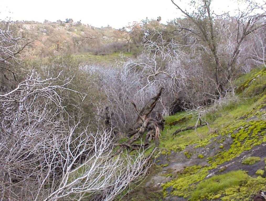 39426 Clover Ln, Yokuts Valley, CA 93675