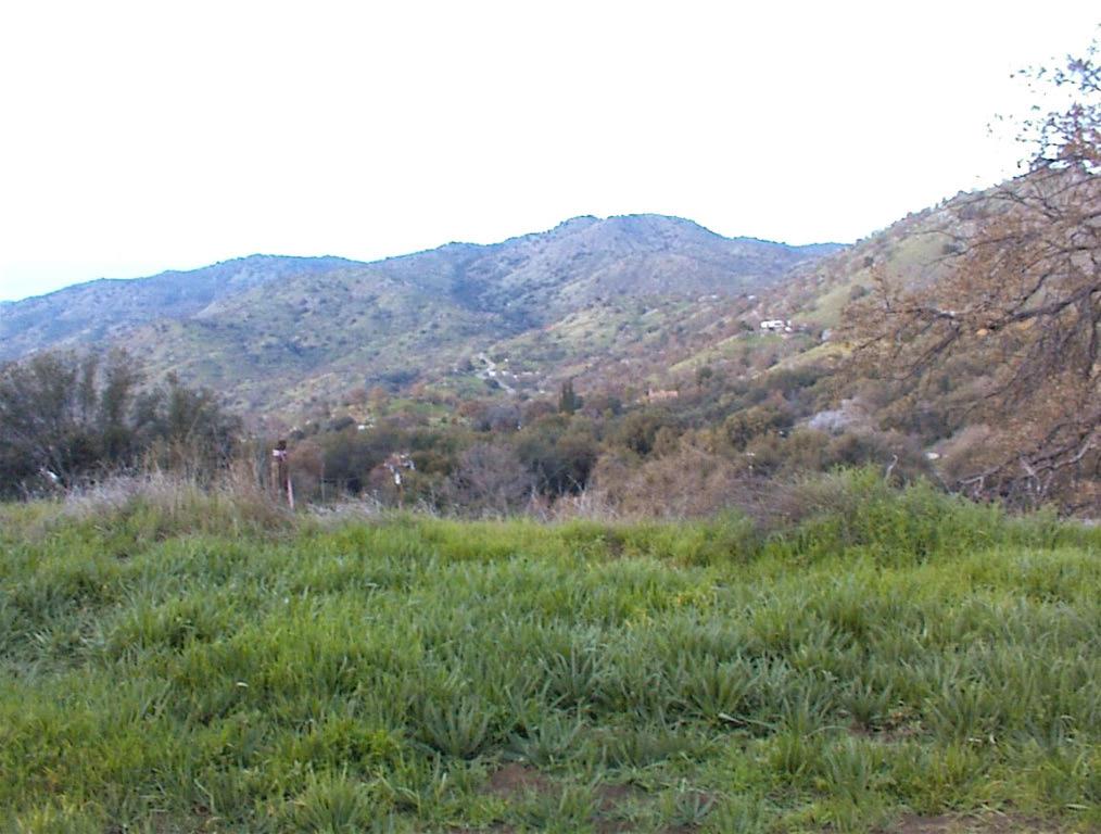 39426 Clover Ln, Yokuts Valley, CA 93675