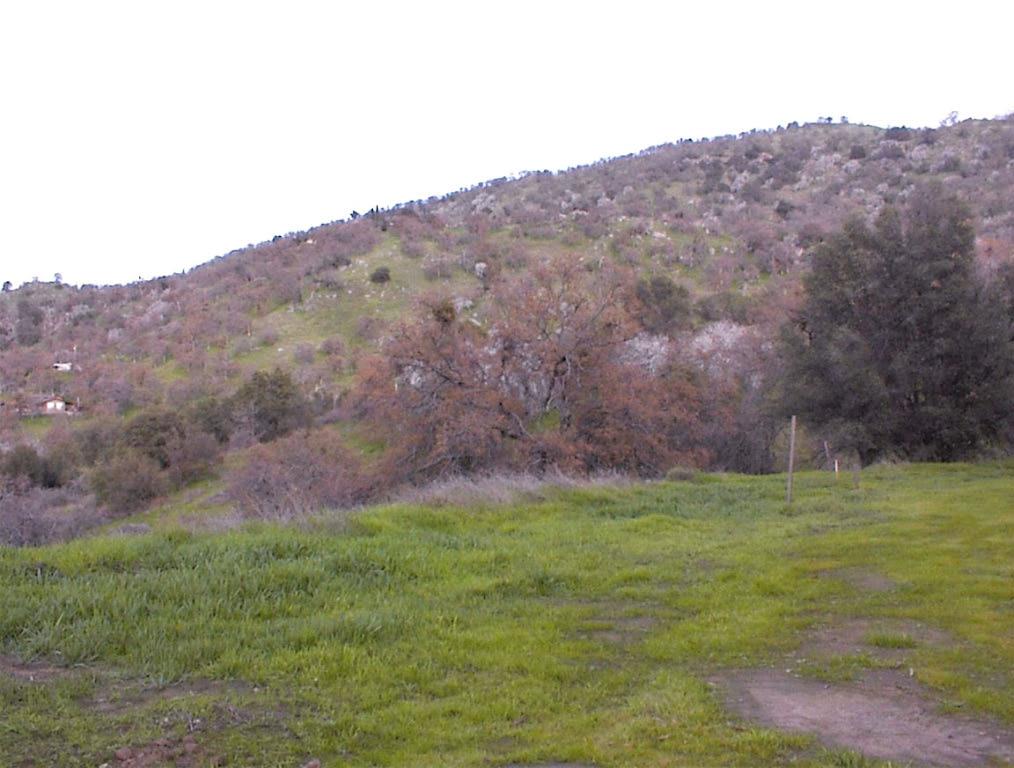 39426 Clover Ln, Yokuts Valley, CA 93675