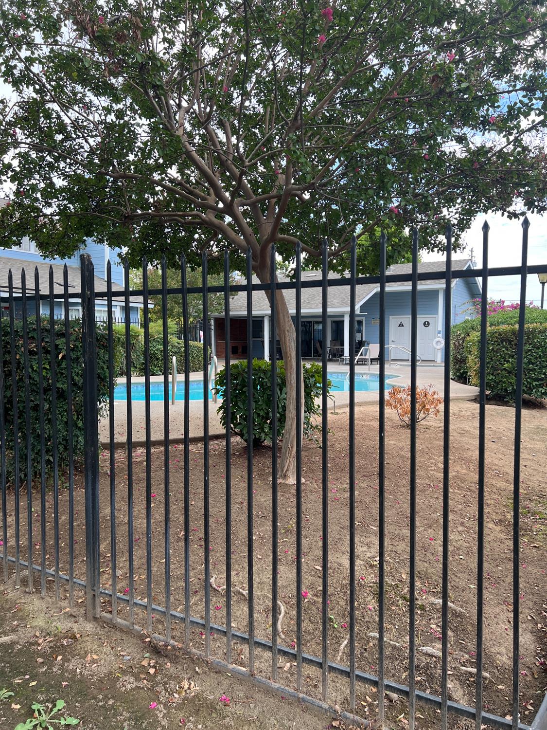 1448 Plymouth Rock Way, Clovis, CA 93612