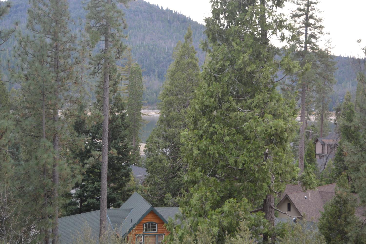 39818 Granite Ridge Lane, Bass Lake, CA 93604