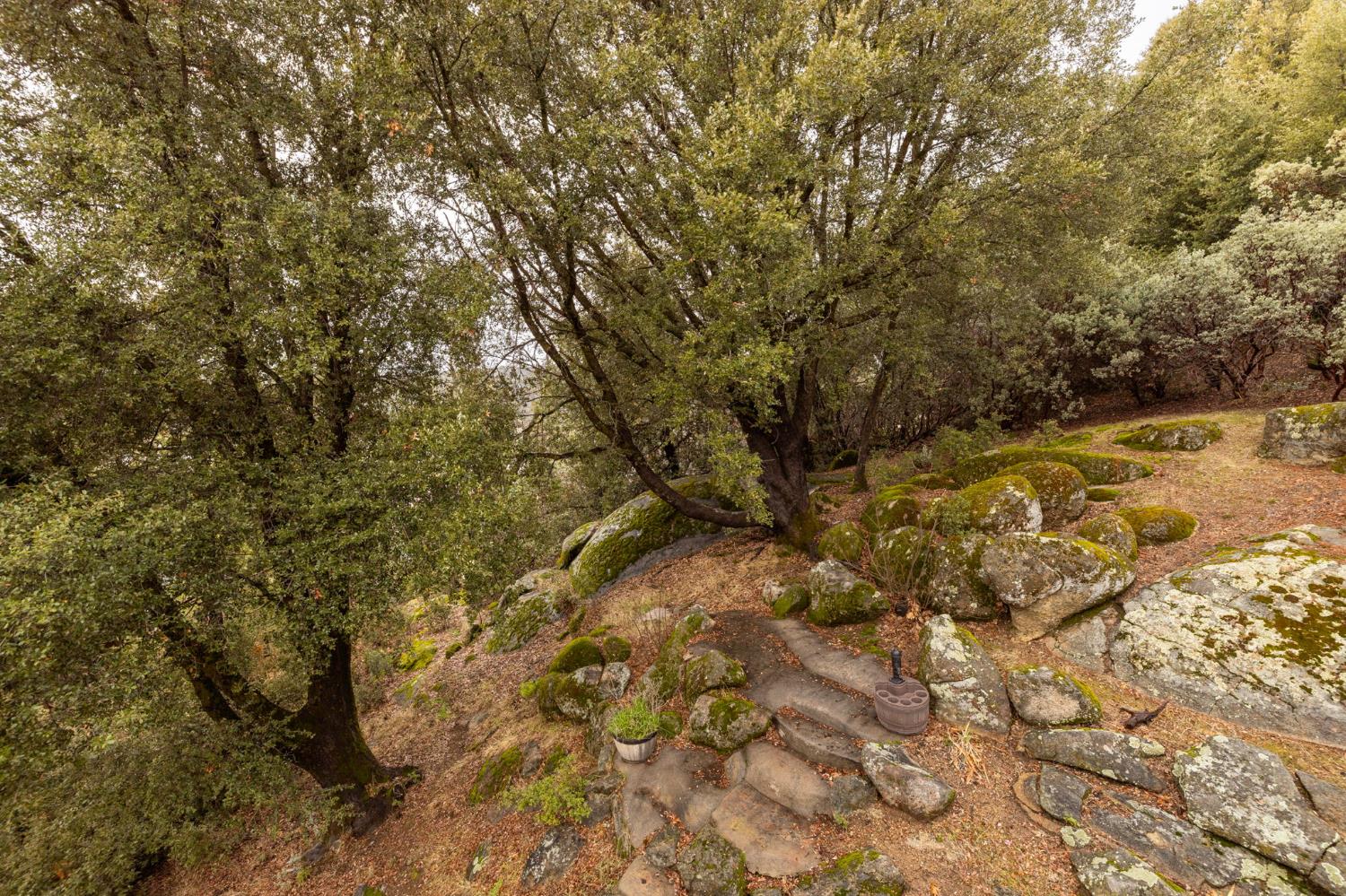 39818 Granite Ridge Lane, Bass Lake, CA 93604