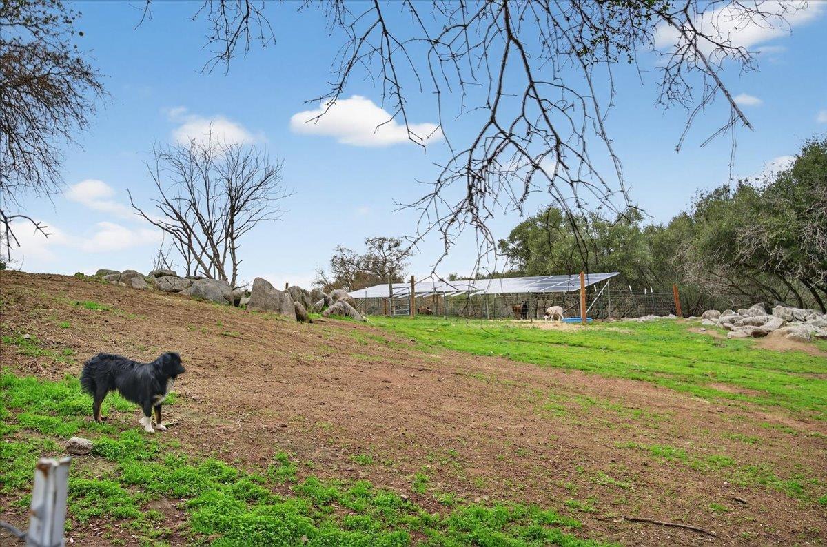 31814 Lockwood Ln, Prather, CA 93651