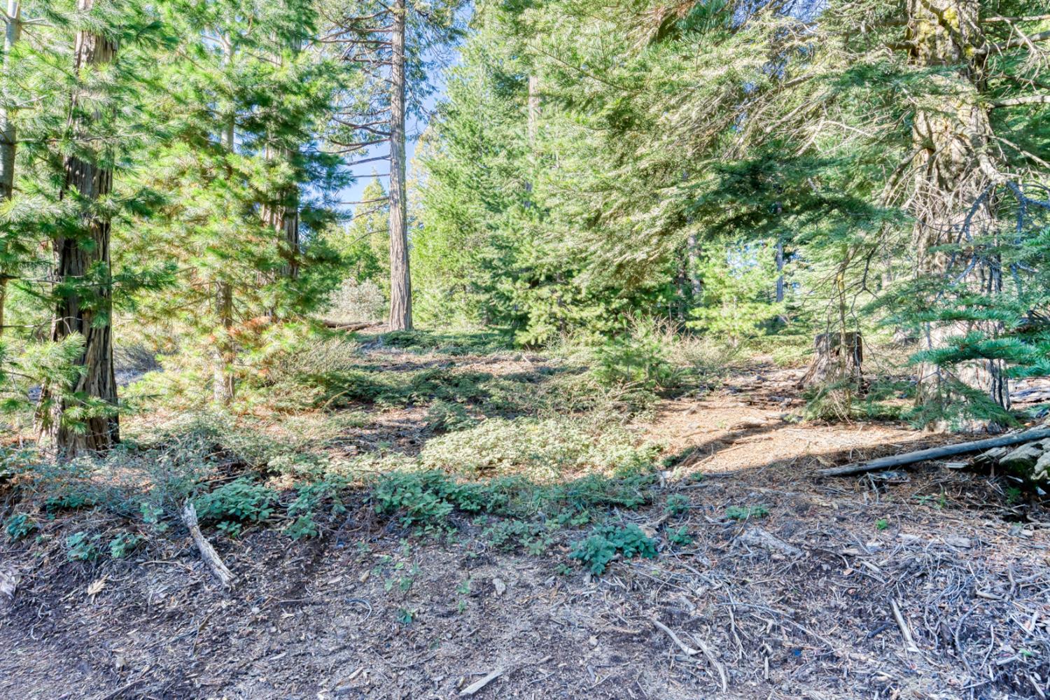 40868 Wild Iris Ln, Shaver Lake, CA 93664