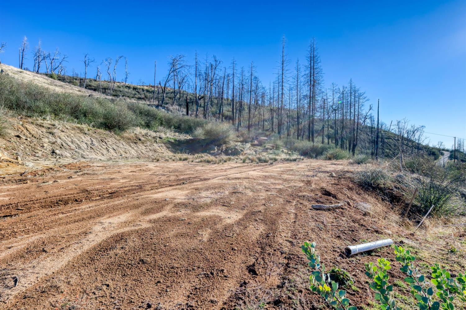 36324 Pine Ridge Ln, Shaver Lake, CA 93664