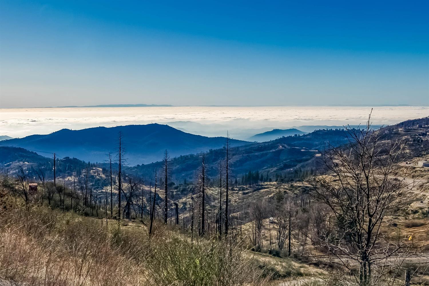 36324 Pine Ridge Ln, Shaver Lake, CA 93664