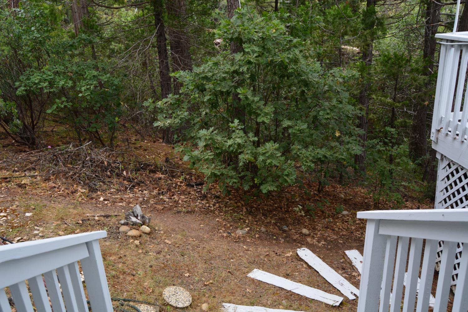 40748 Foxboro Ct, Bass Lake, CA 93604