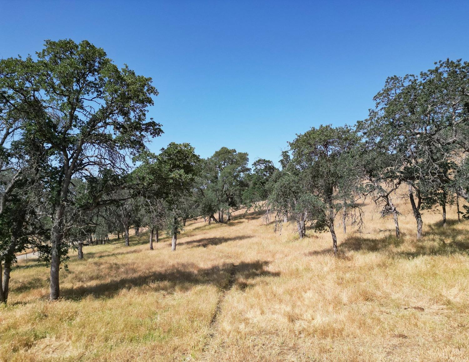 0 0 CA-180 Rd, Yokuts Valley, CA 93675