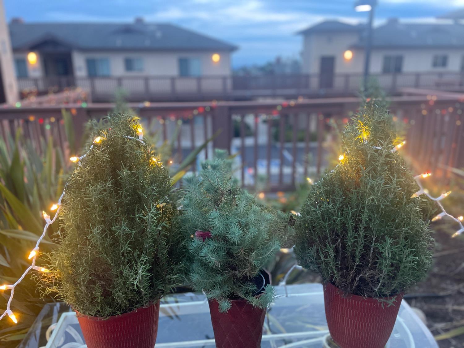 579 Camino Mercado #518, Arroyo Grande, CA 93420