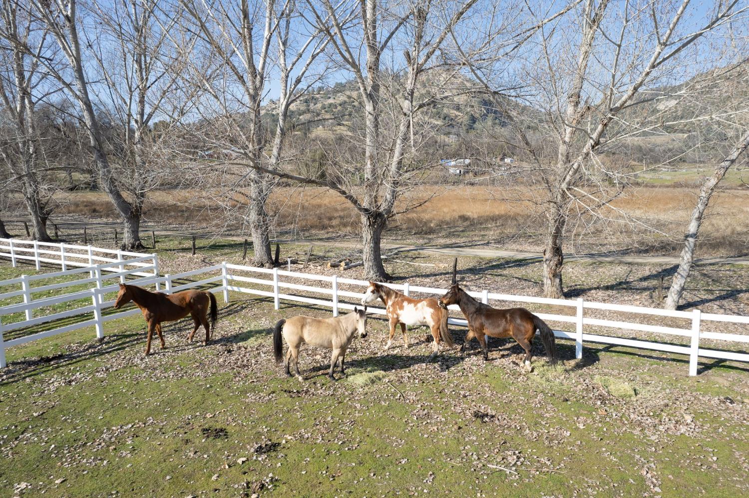 36039 Cranmore Ln, Auberry, CA 93602