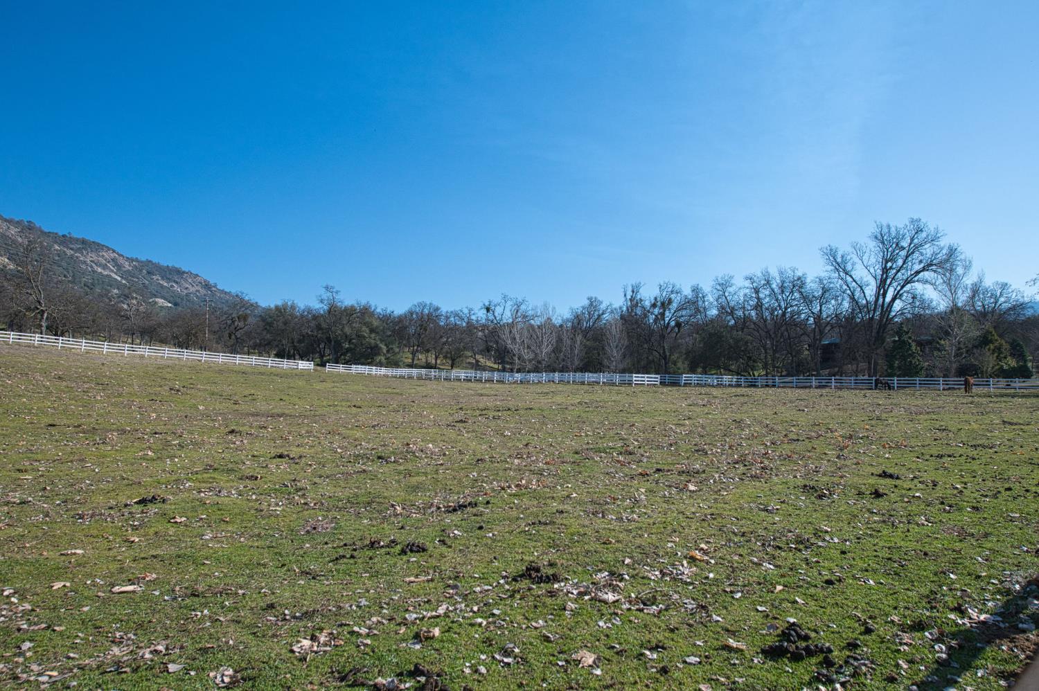 36039 Cranmore Ln, Auberry, CA 93602