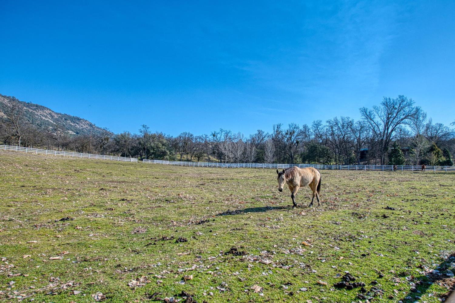 36039 Cranmore Ln, Auberry, CA 93602