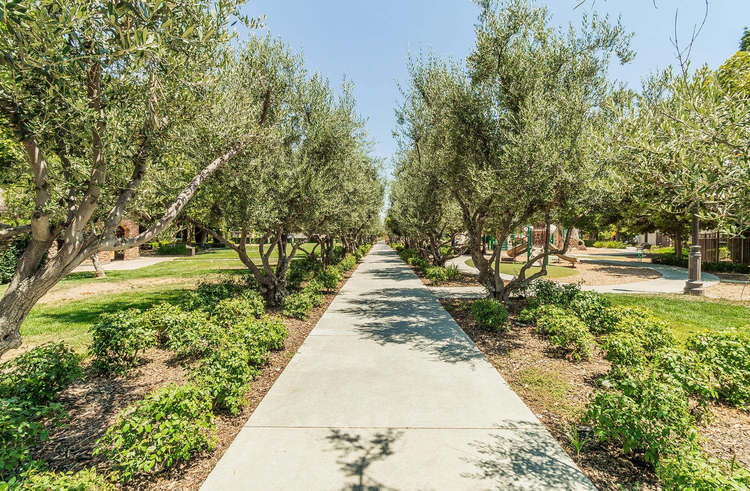 3725 Everglade Ave, Clovis, CA 93619