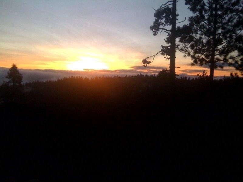 42629 Canyon Vista Ln, Shaver Lake, CA 93664