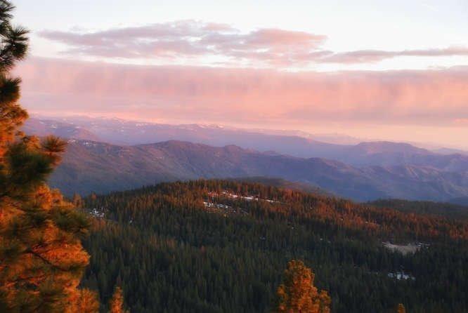 42629 Canyon Vista Ln, Shaver Lake, CA 93664