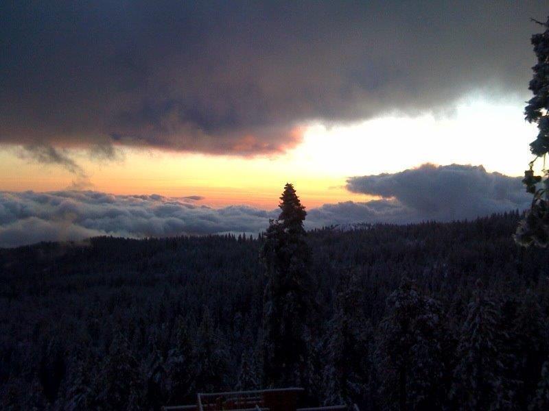 42629 Canyon Vista Ln, Shaver Lake, CA 93664