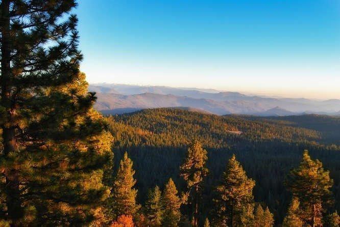 42629 Canyon Vista Ln, Shaver Lake, CA 93664