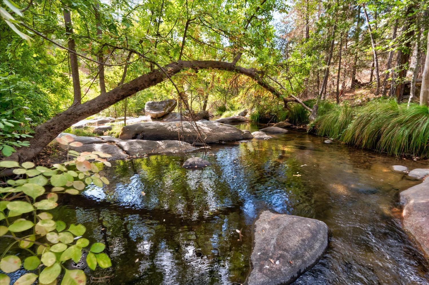 42893 Scenic, Oakhurst, CA 93644