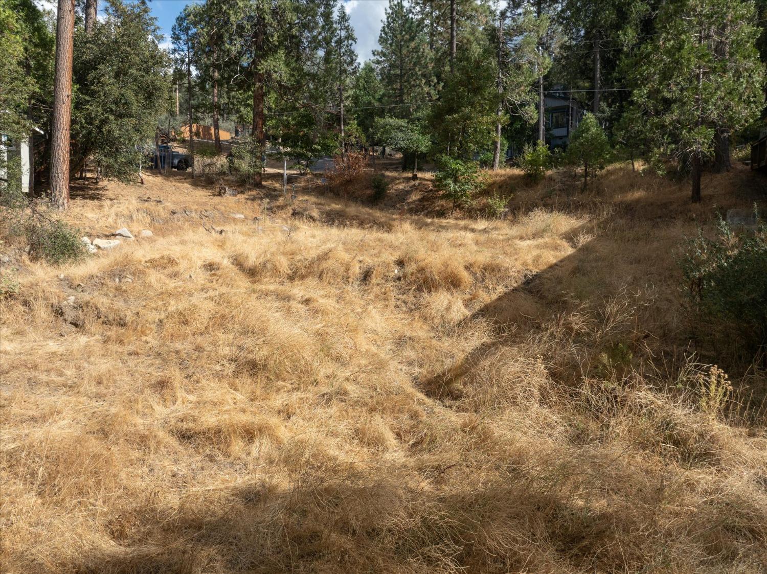 42893 Scenic, Oakhurst, CA 93644