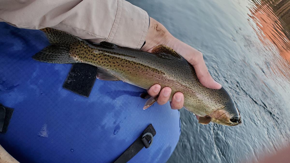 56261 Manzanita Lake Dr, North Fork, CA 93643