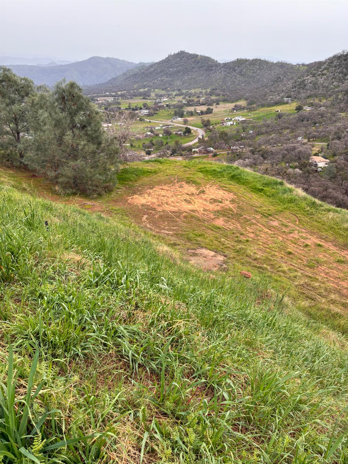 29421 Larkspur Rd, Tollhouse, CA 93667