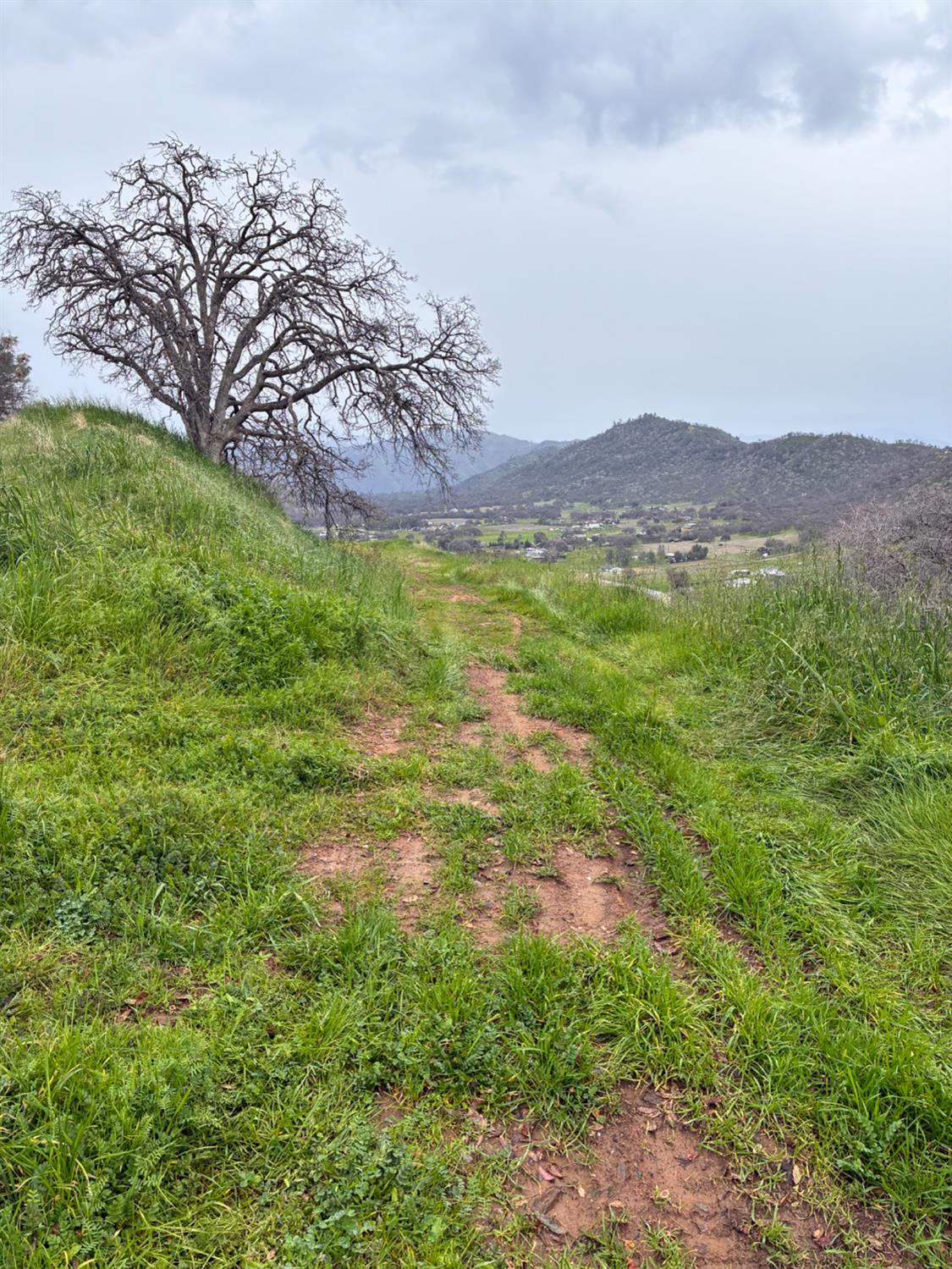 29421 Larkspur Rd, Tollhouse, CA 93667