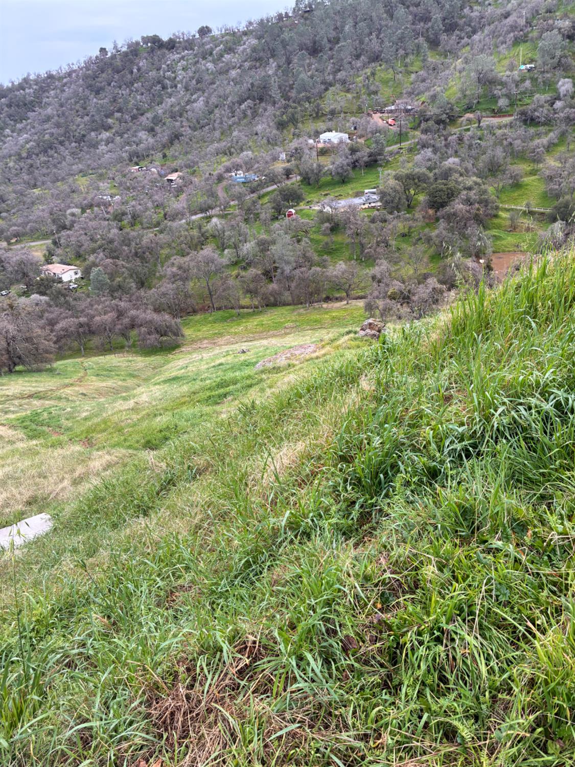 29421 Larkspur Rd, Tollhouse, CA 93667