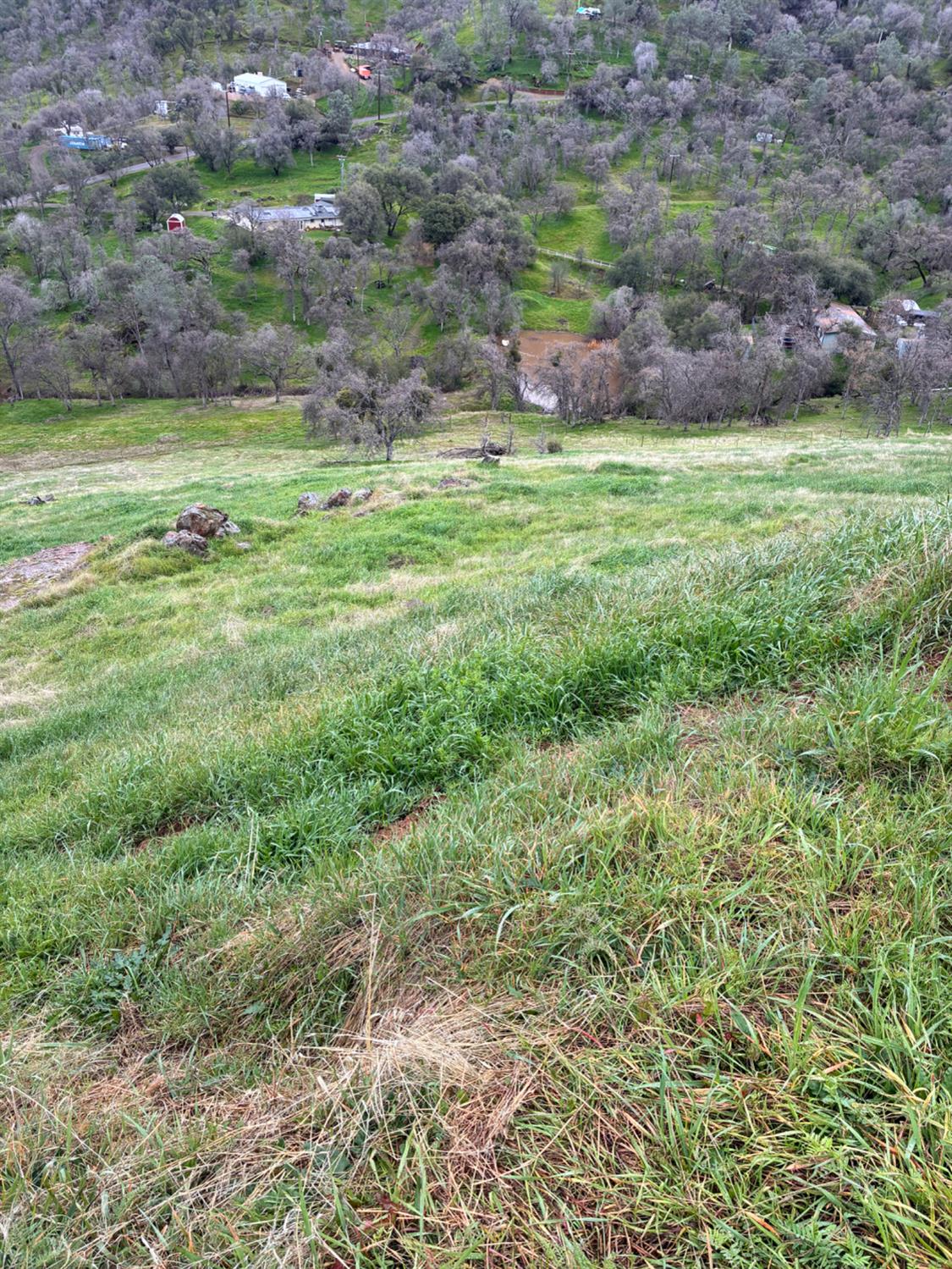 29421 Larkspur Rd, Tollhouse, CA 93667