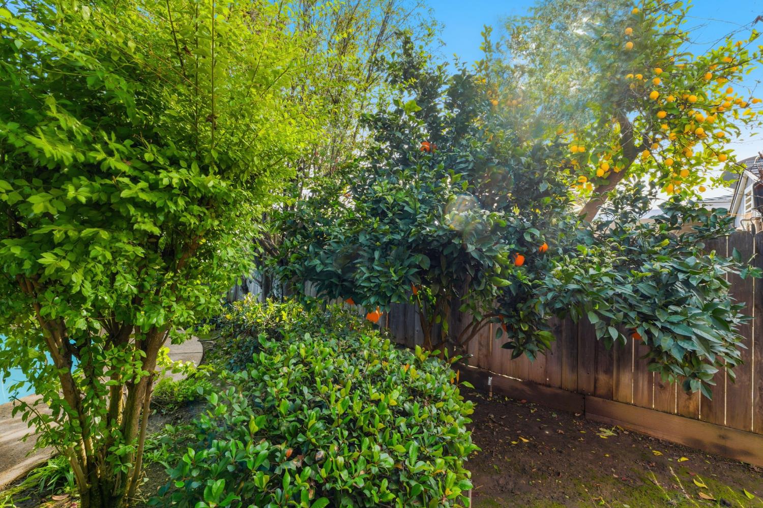 1203 Bundy Ave, Clovis, CA 93611