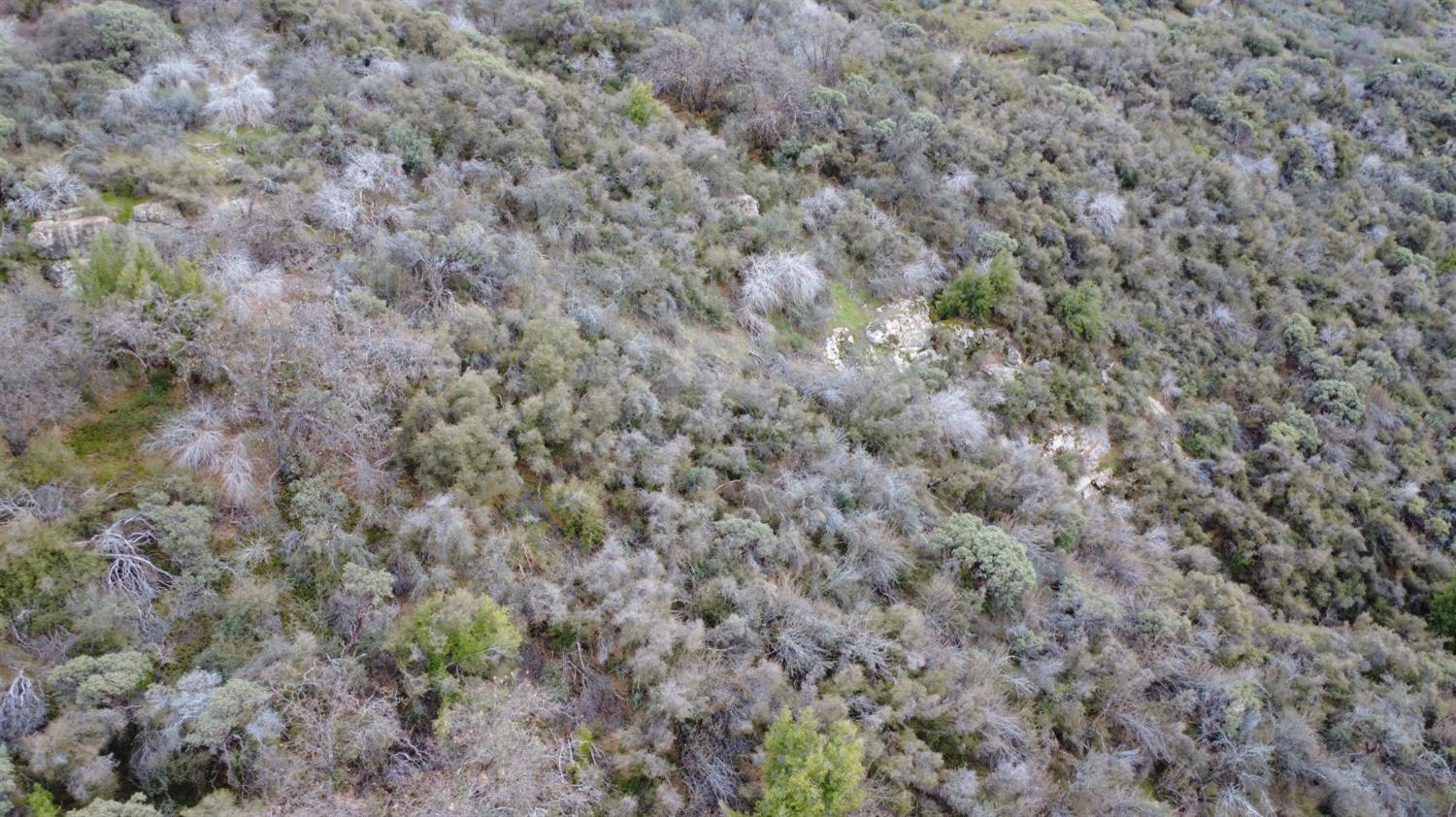 0 0 APN 195-070-01, Miramonte, CA 93641