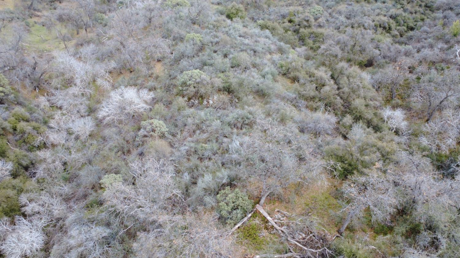 0 0 APN 195-070-01, Miramonte, CA 93641