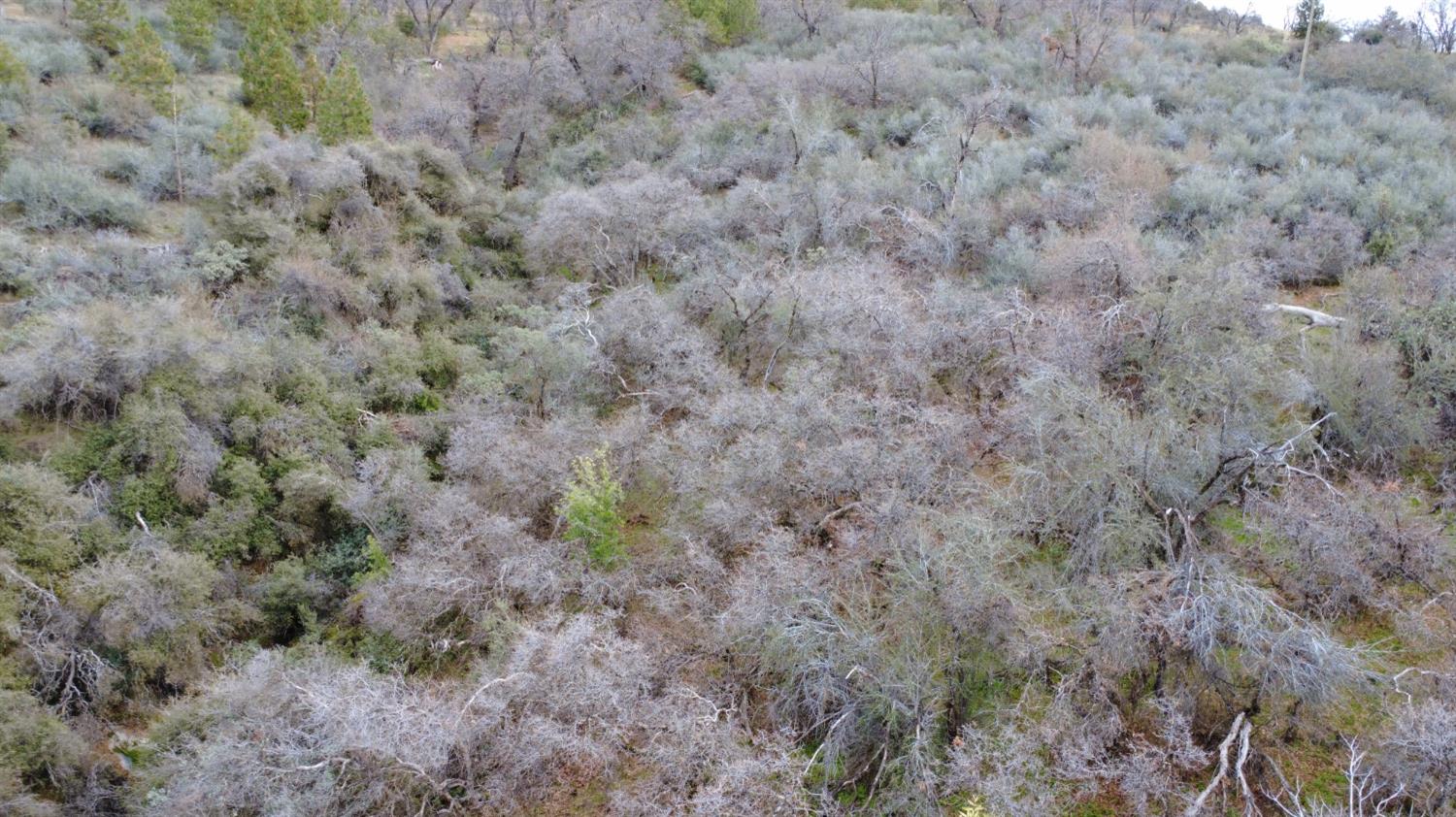 0 0 APN 195-070-01, Miramonte, CA 93641