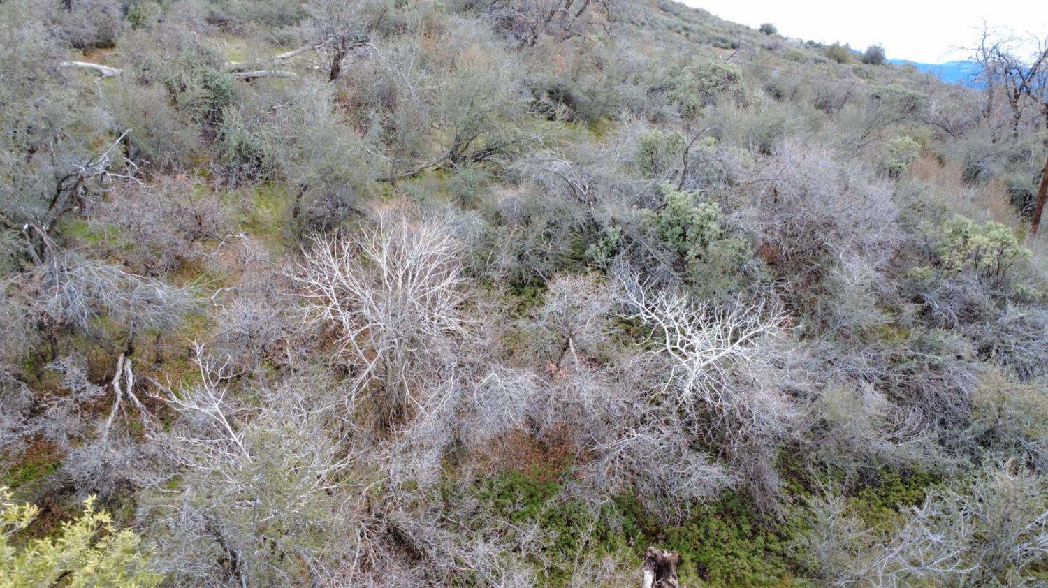 0 0 APN 195-070-01, Miramonte, CA 93641