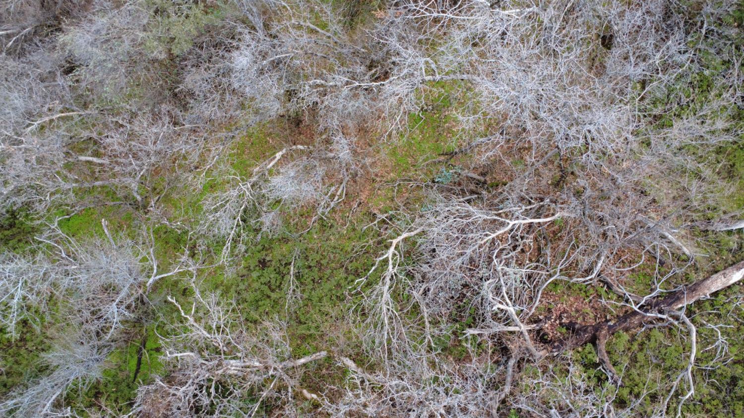 0 0 APN 195-070-01, Miramonte, CA 93641