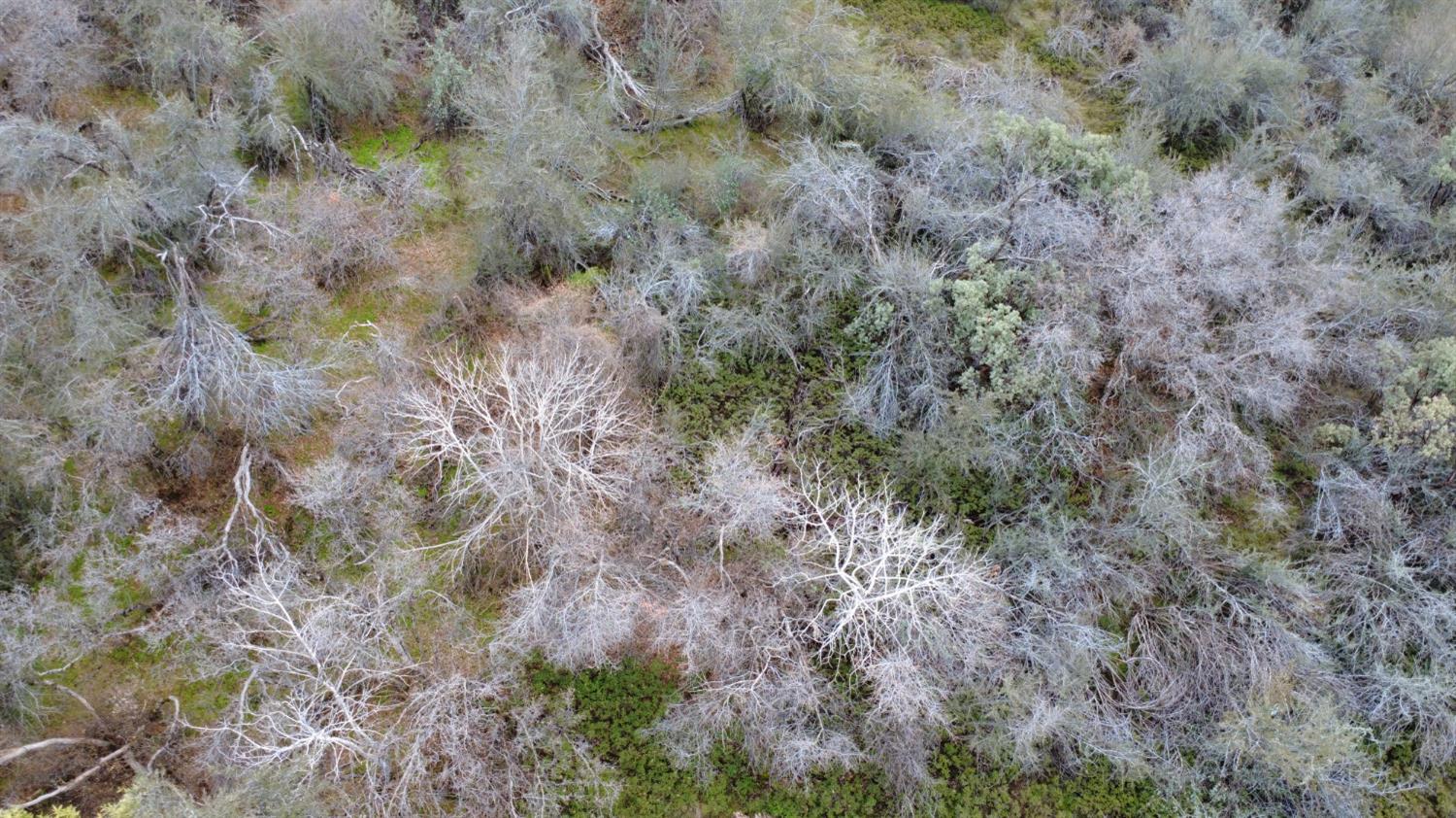 0 0 APN 195-070-01, Miramonte, CA 93641