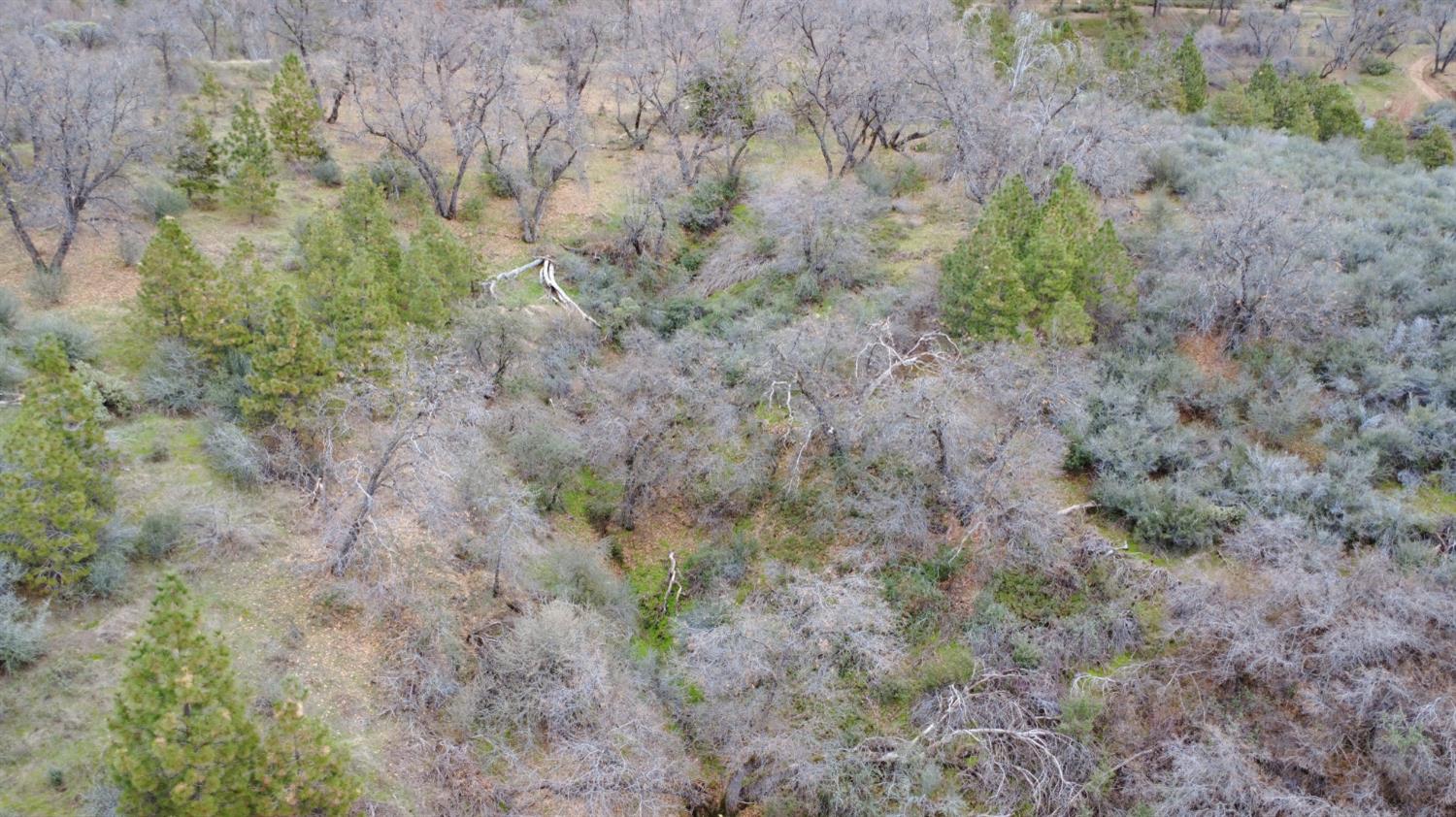 0 0 APN 195-070-01, Miramonte, CA 93641