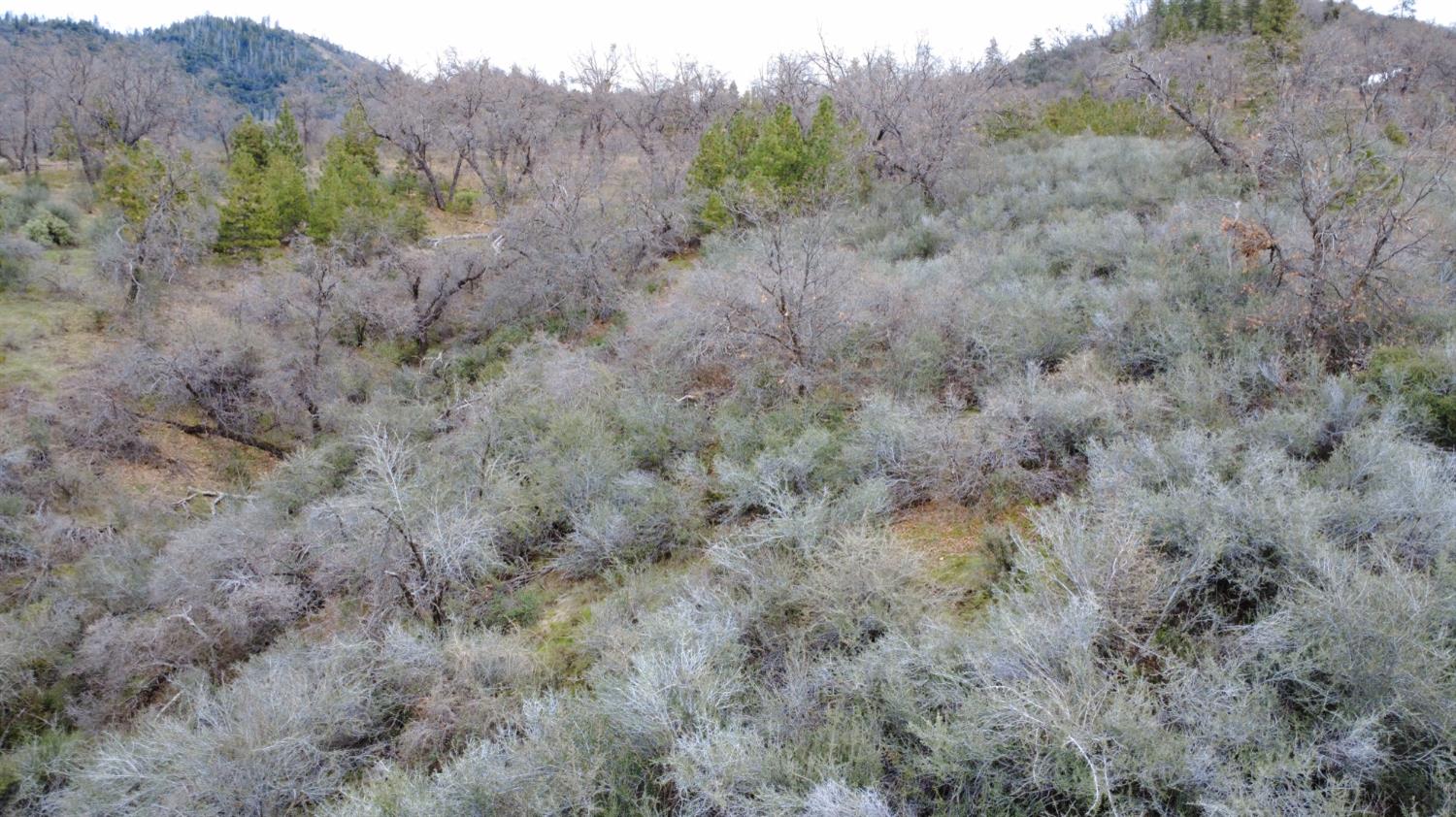 0 0 APN 195-070-01, Miramonte, CA 93641