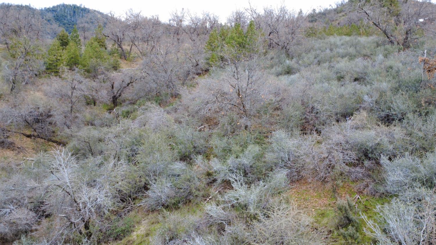 0 0 APN 195-070-01, Miramonte, CA 93641