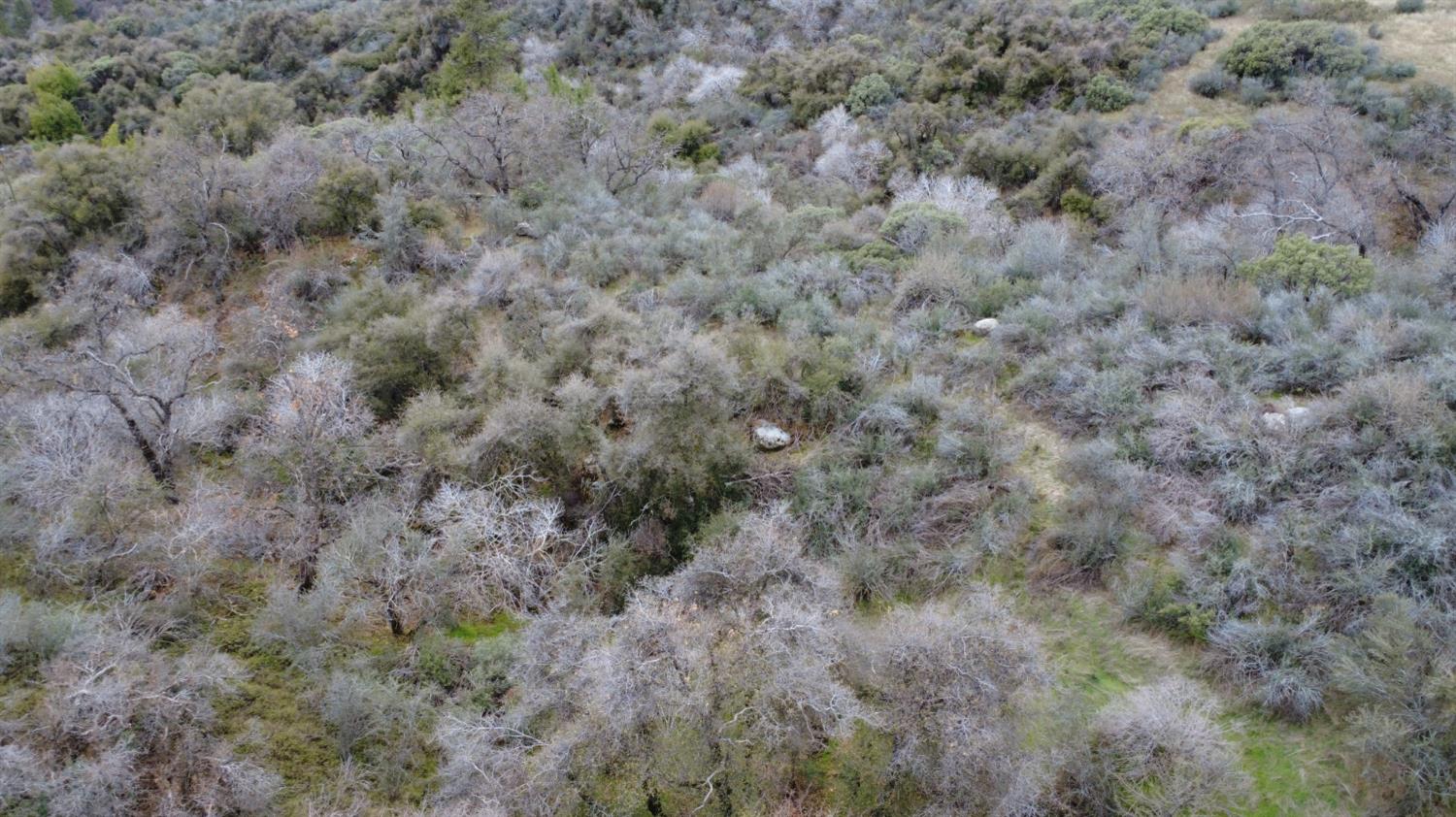 0 0 APN 195-070-01, Miramonte, CA 93641